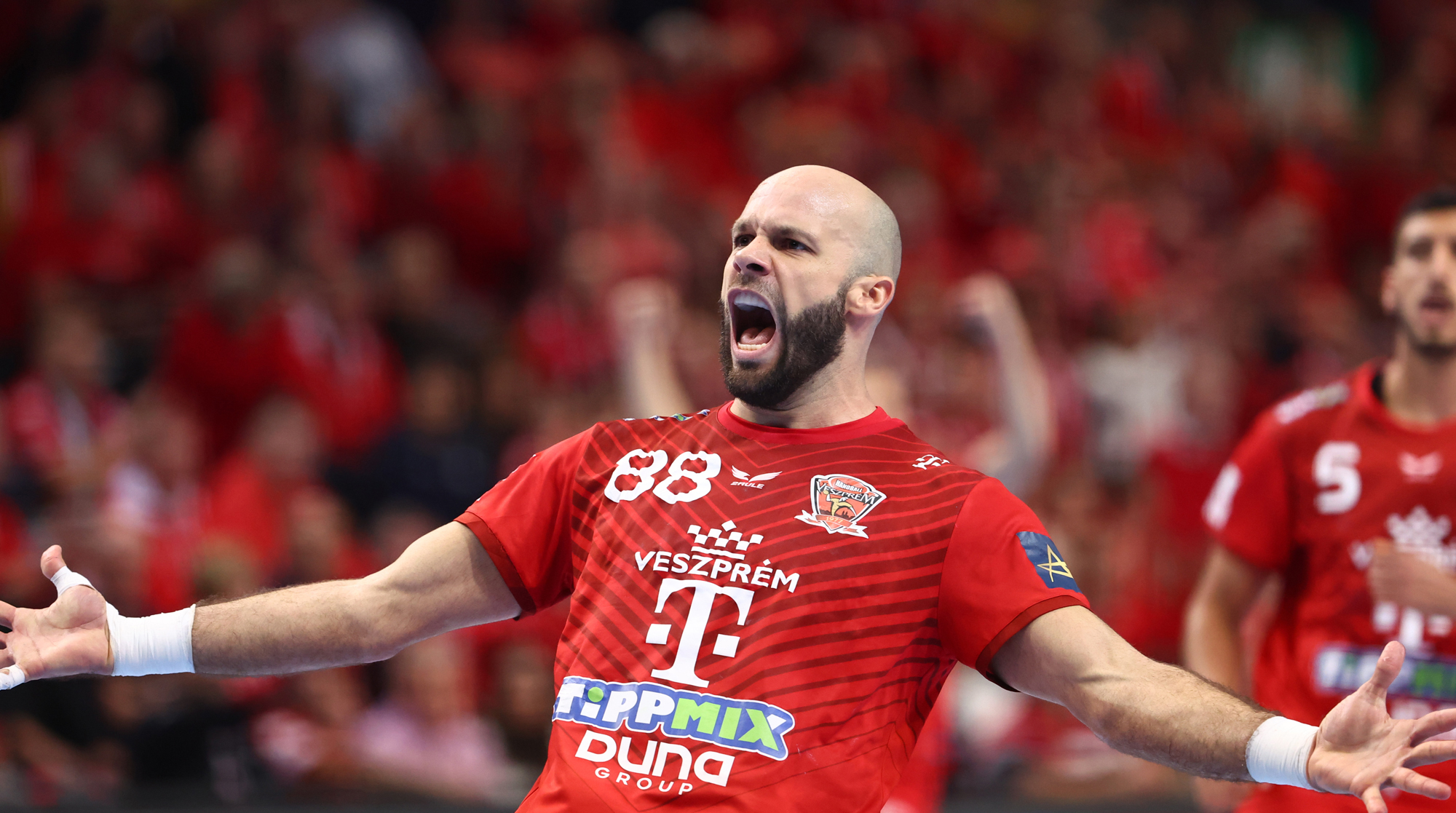 20221124 Veszprem Zagreb Sipos (1)