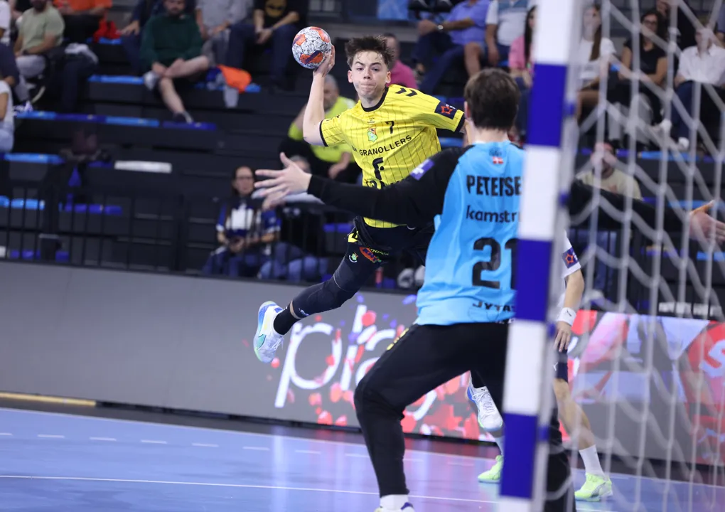 Nowy webinar EHF: jak akademie wspierają talenty