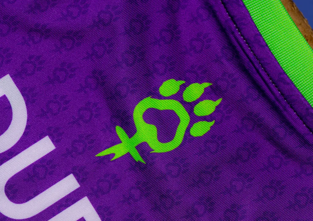 Rhein-Neckar Löwen w fioletowych koszulkach. Mecz w Dniu Kobiet wsparciem dla ofiar przemocy